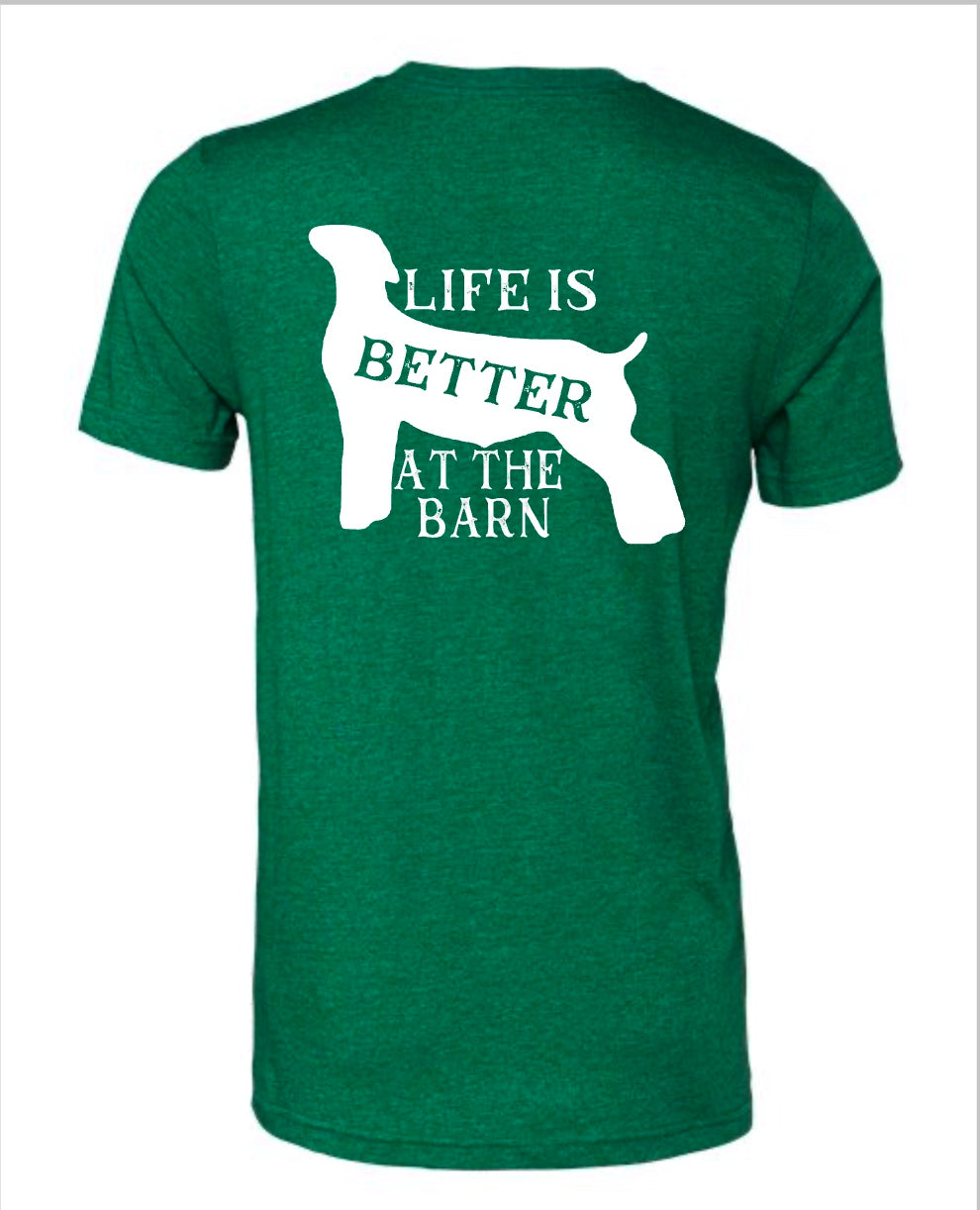 BFLC Club Shirts Extras