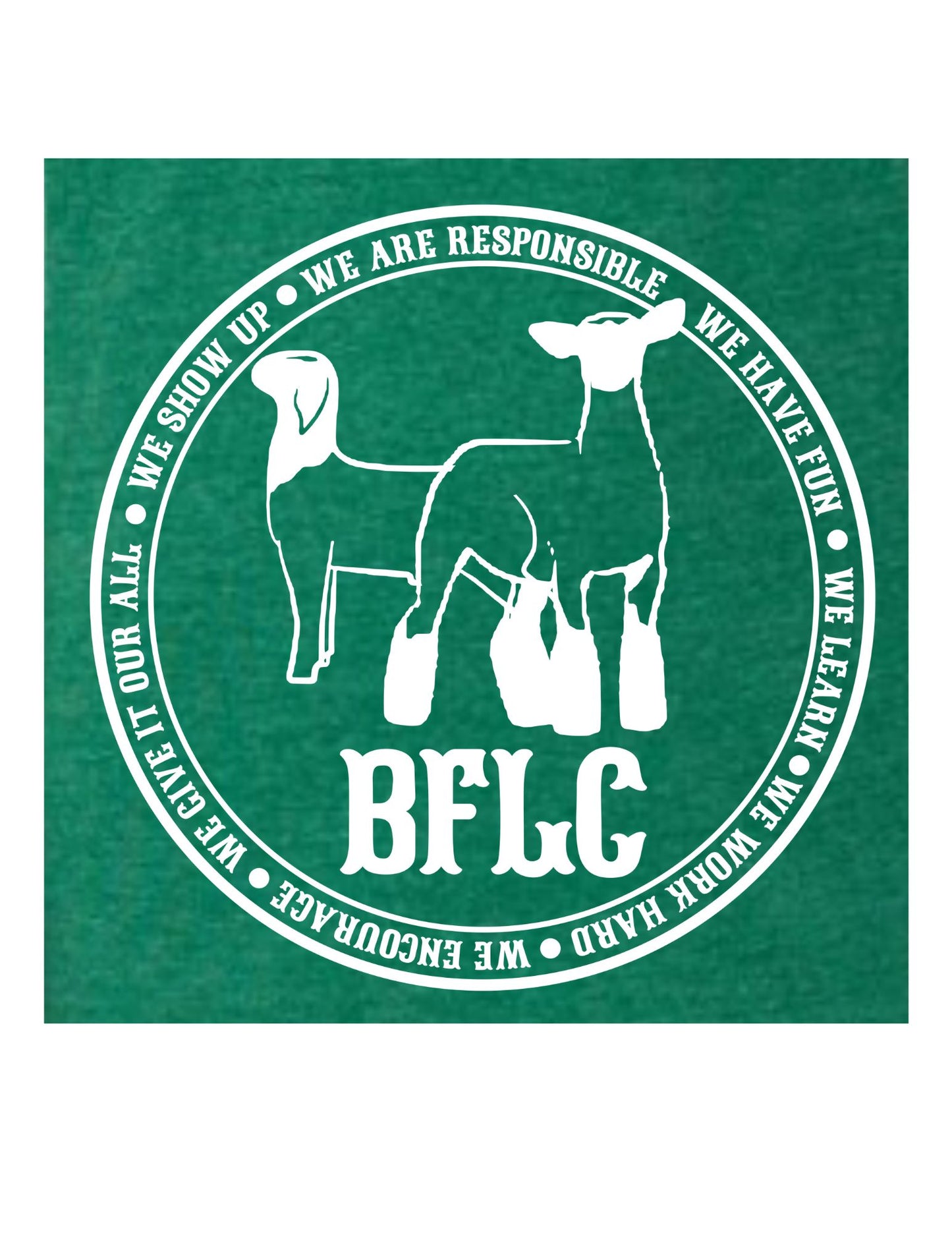 BFLC Hoodie Youth
